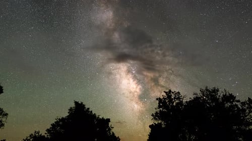 Milky Way time lapse above silhouetted trees