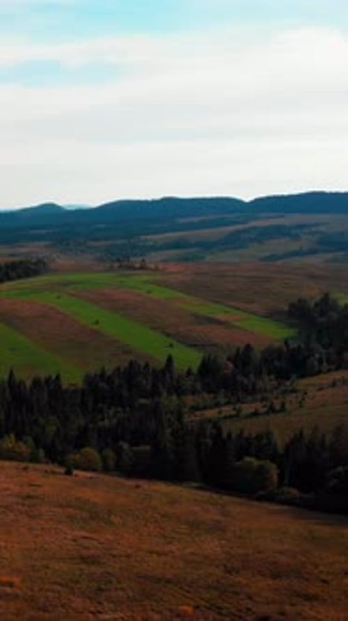 Aerial view of Carpathian mountains with green hills at autumn. Vertical video