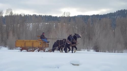Horse and Carriage Winter Journey