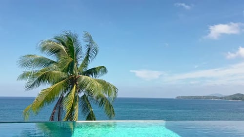 Sea View Through the Swimming Pool and the Coconut Palm Tree in Clear Sunny Weather the Coast of