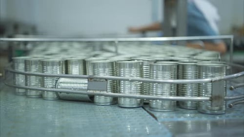 Process and production line in canned fish factory