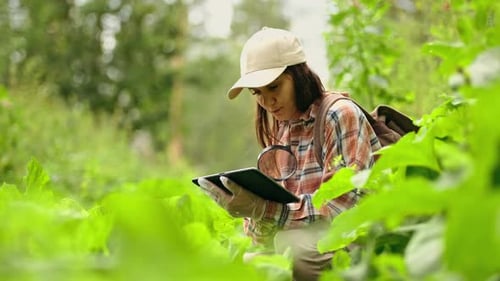 Woman Examines Plants Using Tablet and Magnifying Glass