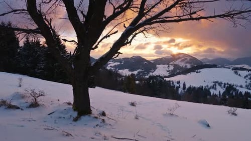 Winter Sunrise