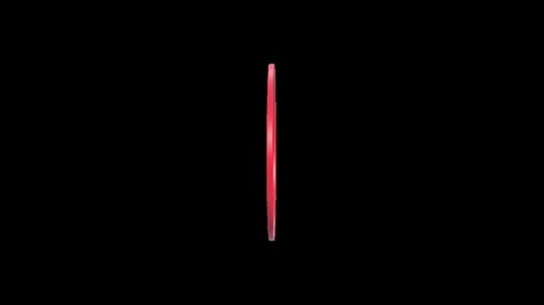 Abstract Red Geometric Circle Loop Animation