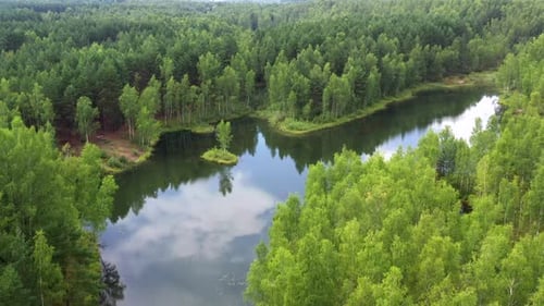Small forest lake with blue water. Aerial view. Shot from drone.