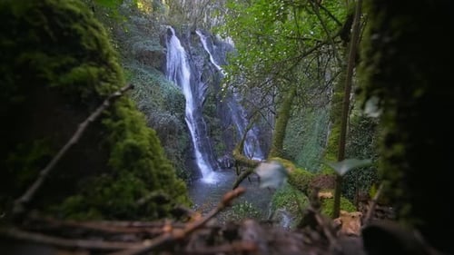 Waterfall In Forest a green trees and small lake with stones.