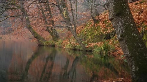 Herbstsee