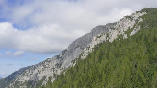 Aerial over green forest trees and Alpine rocky mountains, Alps