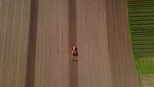 Agricultural Red Small Tractor in the Field Plowing Works in the Field