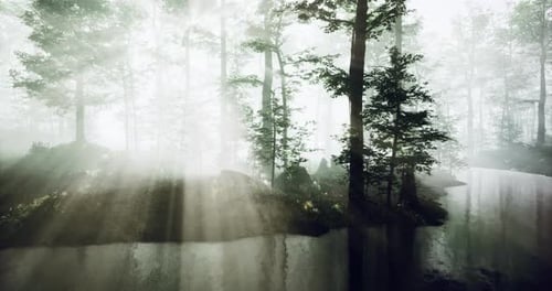 Morning Mist Envelops Tranquil Forest Landscape Near a Serene Waterway