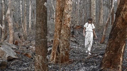 In the Aftermath of the Fire a Woman Clad in a White Dress Walks Across the Ashen Forest Floor