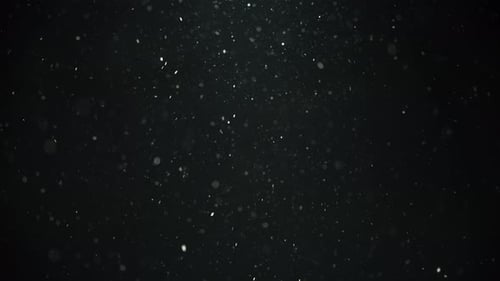 White dust particles flowing in the air