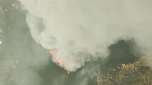 Huge Car Junkyard Fire Black Oil Smoke Pollutes the Atmosphere Ecological Disaster Global Warming