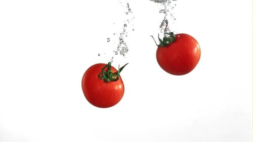 Tomatoes Falling Under Water on a White Background Filmed on a Highspeed Camera at 1000 Fps