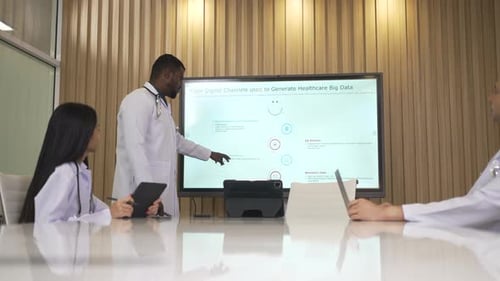 Doctors Present Healthcare Data in a Conference Room