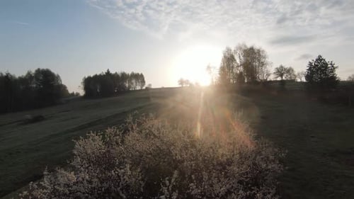Fast and Maneuverable Flight Over the Hill with Forest and Tree Tops with a Beautiful Sunset in the