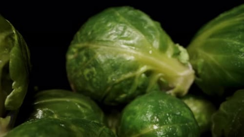 A camera moves through a multitude of Brussels sprouts on a black background. Dolly slider extreme