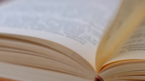 Turning Pages of an Open Book, Macro