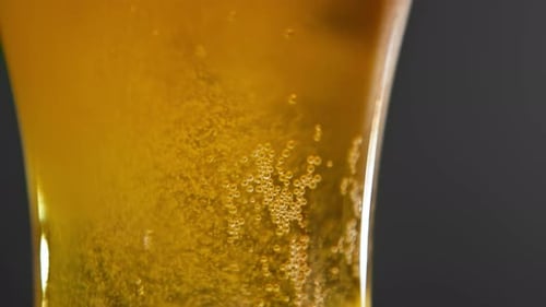 Trinken Sie Bier, Gebräu oder sprudelndes Alkoholgetränk aus einem Glasbecher auf einer Kulturparty