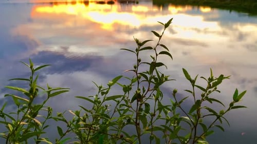The beautiful sunset over the calm waters of the lake makes for a perfect view