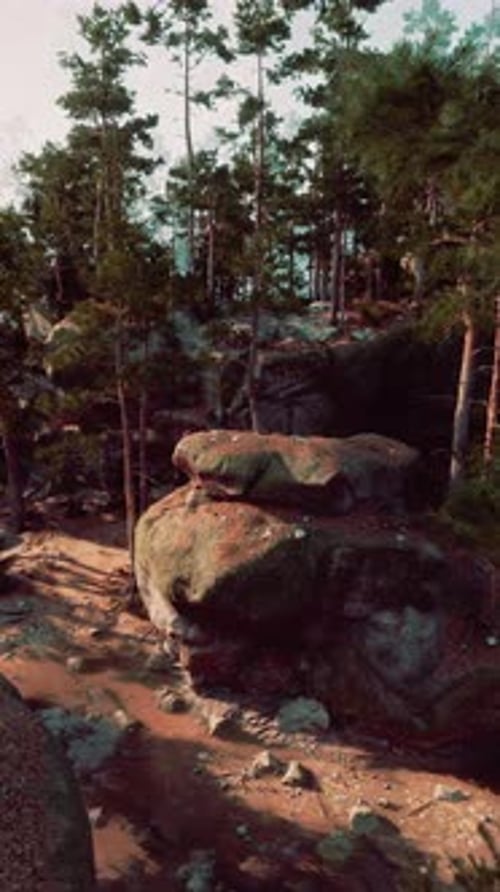 Large Rock in Forest