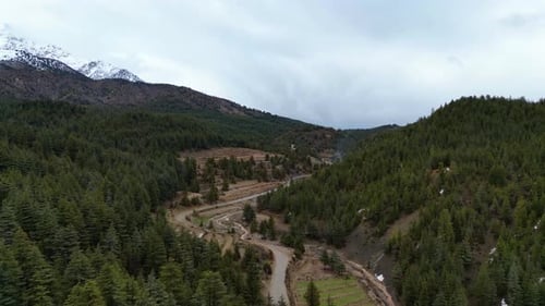 Vista aérea de las exuberantes montañas del bosque verde, vista a la jungla