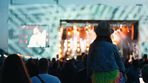 Silhouetted Crowd at Nighttime Music Event