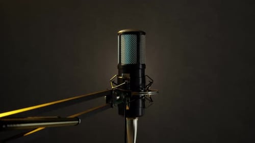 Professional Studio Condenser Microphone with Dynamic Light Effect