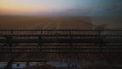 Harvesters for Harvesting Grain While Working View From the Combine Harvester Cab Harvesting