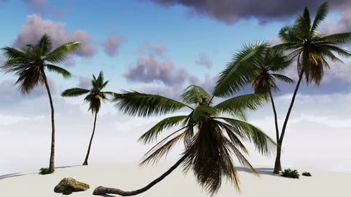 Tropical island with palm trees in the sea.