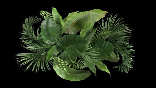 Lush Tropical Leaf Arrangement
