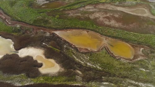 Aerial View of Stunning Wetlands with Green Vegetation and Yellow Waters