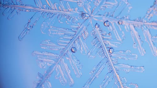 Snowflake close up under microscope panning view blue background fine details