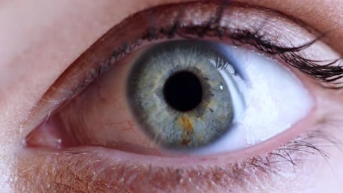 Extreme Close Up of an Opening Blue Eye