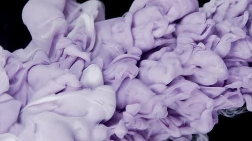 Purple and White Ink Dissolving on Black Background