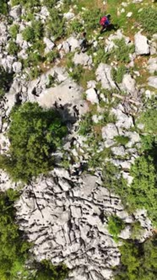 Vertical Video Into the Wild Travelers Embrace the Challenge of the Green Forest