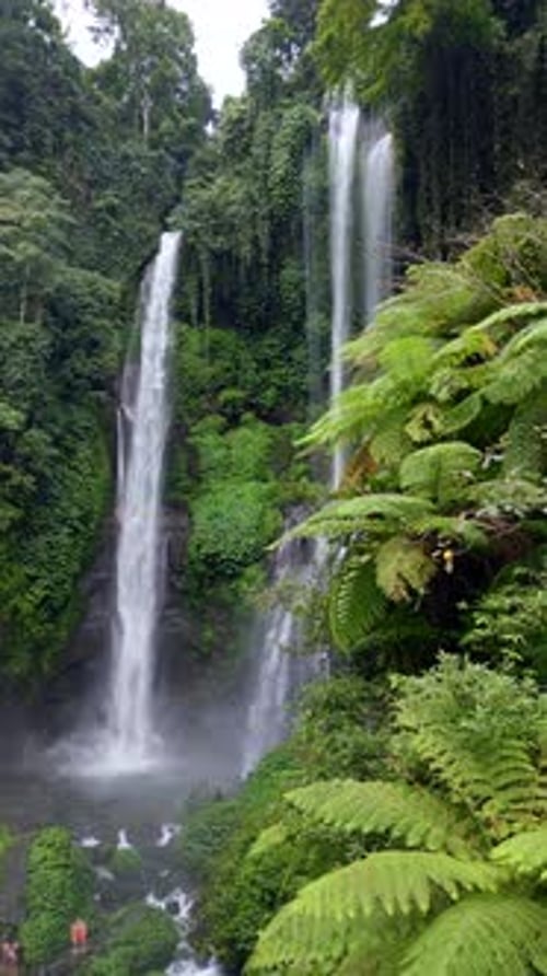 Drone View of Sekumpul Waterfall Surrounded By Tropical Jungle in Bali Indonesia