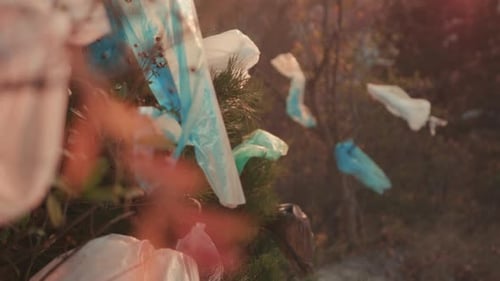 Pradera iluminada por el sol con plásticos a la deriva Escena de pradera contaminada con bolsas a la deriva y flores marchitas