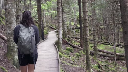 Girl alone with backpack hiking in a beautiful lush forest through a trail.