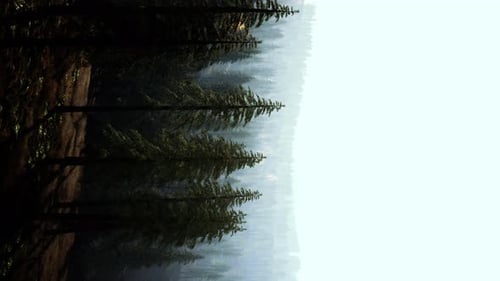 Vertical View of Foggy Mountains