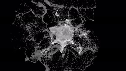 Abstract Fluid Splash Reveal Transition