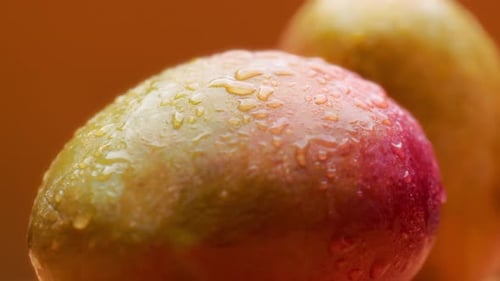 Mango with water drops rotating on orange background