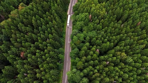 Truck drives on winding road through dense forest in daytime.