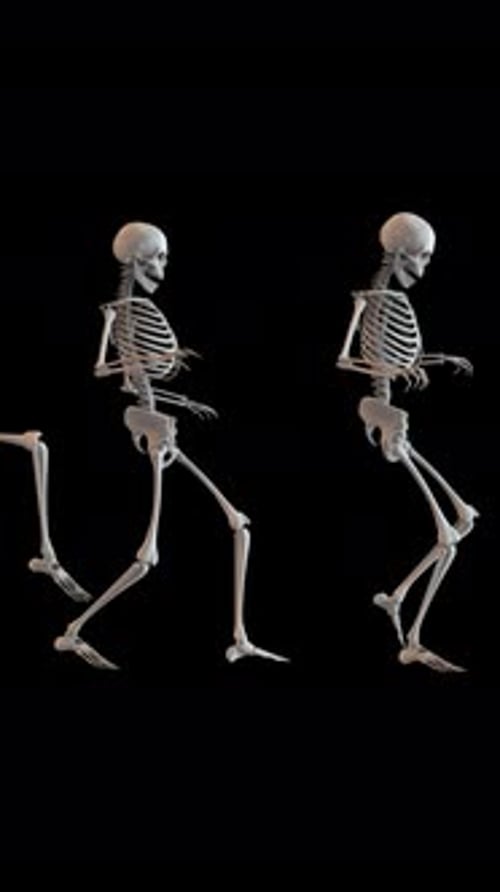 Creeping Skeletons Loop