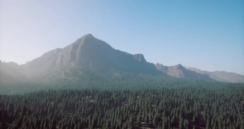 Majestic Mountain Landscape with Dense Forest Under Clear Blue Sky