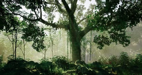 Large Green Tree Surrounded By Dense Foliage in a Tranquil Forest Setting