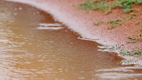 Regentropfen plätschern in einer schlammigen Pfütze ländlicher afrikanischer Schotterstraße, knappe Aufnahme