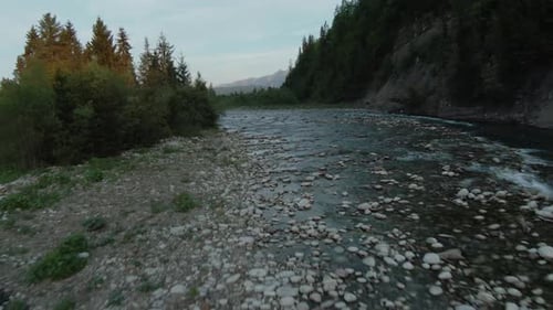 Aerial View of Mountain Brook or River Flowing in the Green Valley