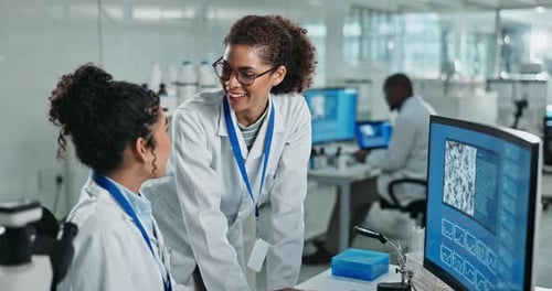 Two Scientists Working Together in a Laboratory