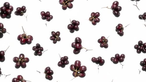 Nahtlos schwebende rote Trauben auf weißem Grund
